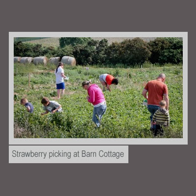 58 Best Images Fun Barn Isle Of Man - Manx Fun Farm Local Business Onchan Isle Of Man Facebook 1 060 Photos