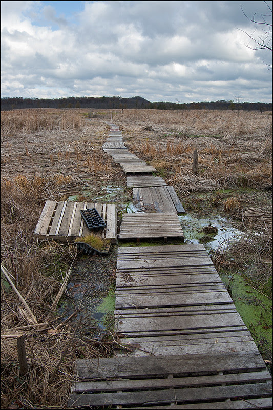 Path of Pallets
