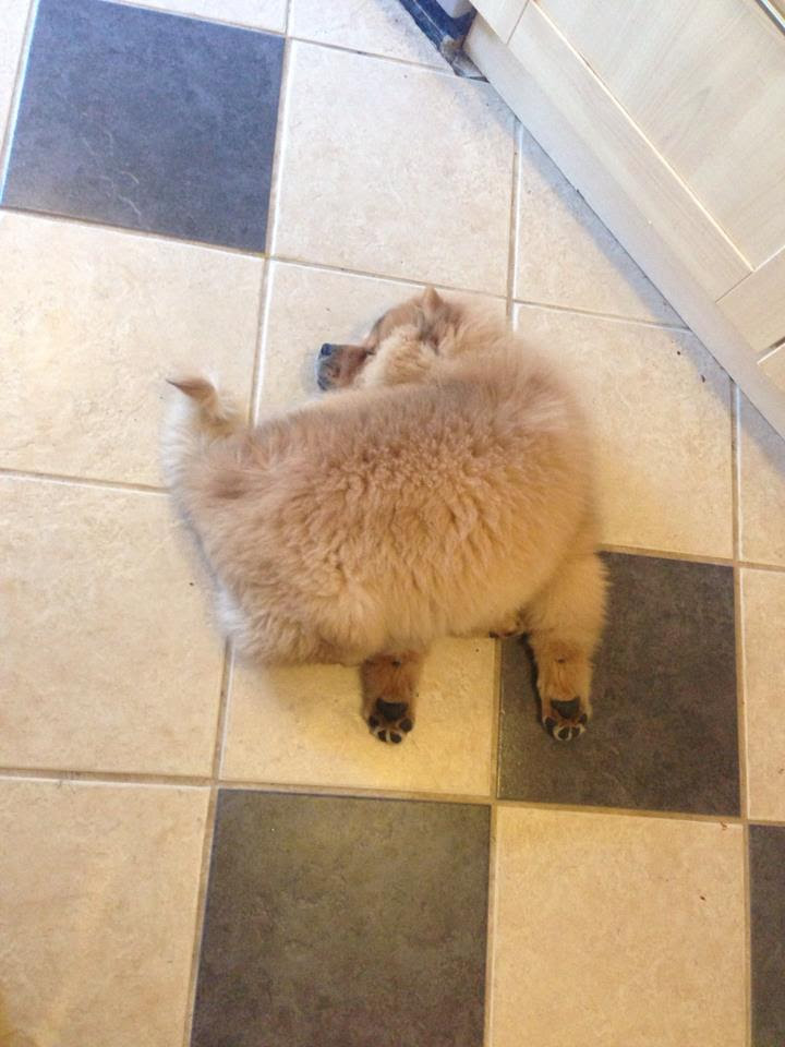 http://i.imgur.com/1zaUV2n.jpg