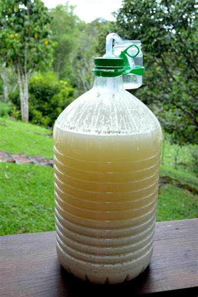Rice Wine Recipe