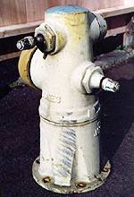 Michael Avila's Hydrant Collection