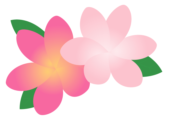 プルメリアの花 かわいい無料のフリーイラスト素材集