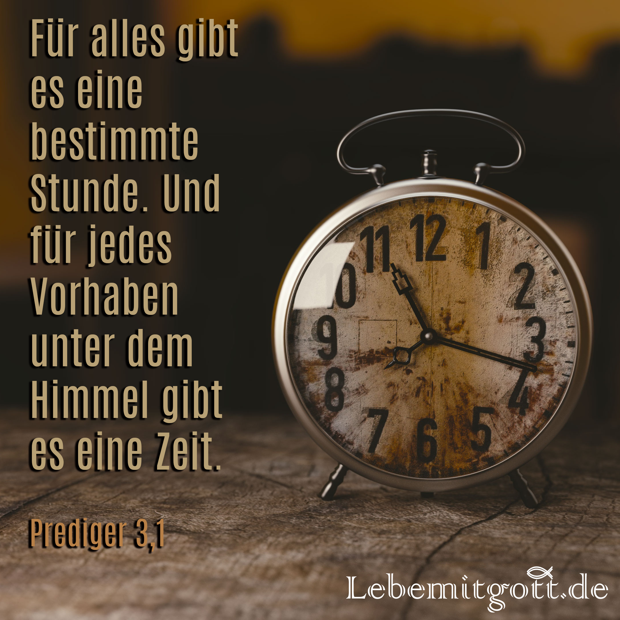 Alles hat SEINE Zeit