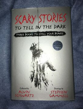 Scary Stories For Camping 3 Winks Design
