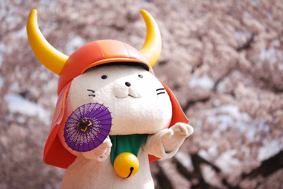 ひこ にゃん 壁紙