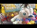 [最も欲しかった] ロコン ぬいぐるみ ゲーセン 316221-ロコン ぬいぐるみ ゲーセン