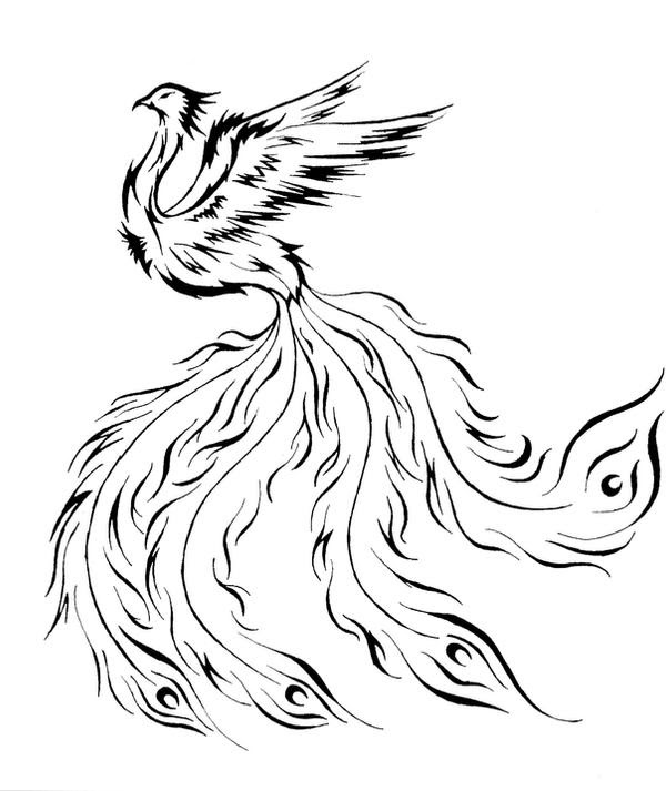bird tattoo