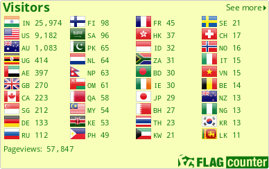 Flag Counter