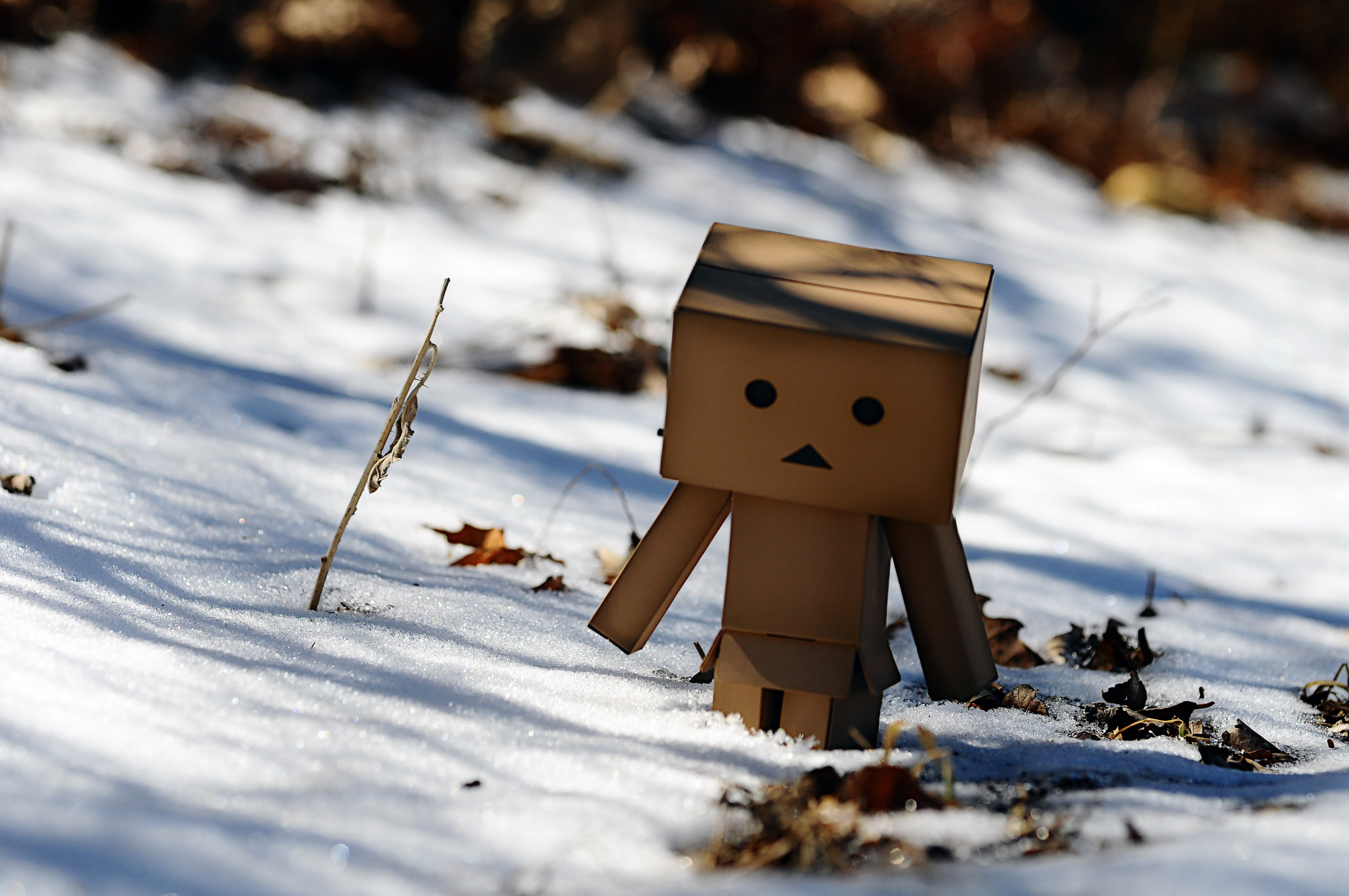Misc Danbo Wallpaper Misc Danbo Wallpaper