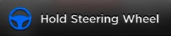 Hold Steering Wheel