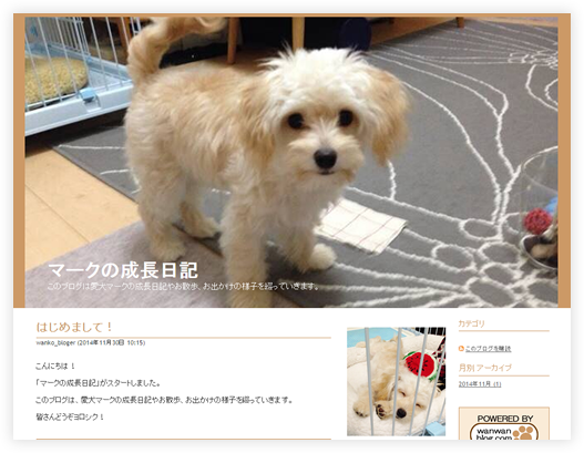 ミックス犬 雑種犬のブログ