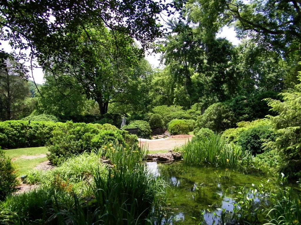  photo CheekwoodScenery1_zpsffb1f015.jpg