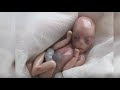 Plus de 70 bebe ne a 5 mois 323213-Bebe ne a 5 mois et demi