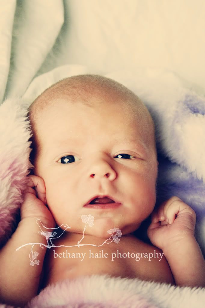 baby girl,baby,infant,newborn,photography,portraits,oregon
