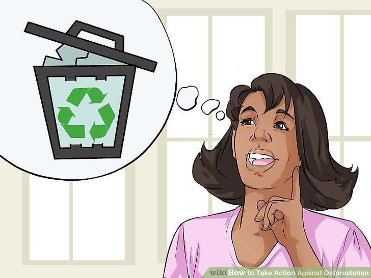 Be Greener Step 10.jpg
