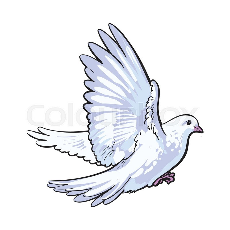 Dove Drawing at GetDrawings | Free download