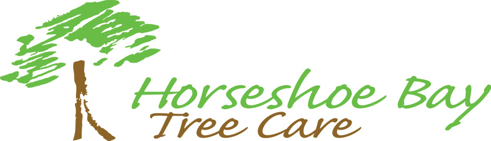 Horseshoe Bay Tree Service Horseshoe Bay Tree Care - image id for roblox plaza robux frenzy