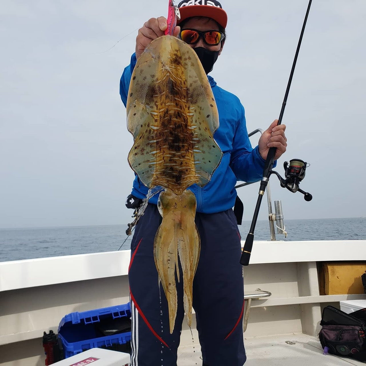 アオリイカの釣果 21年5月18日 オクトパス 福岡県 津屋崎漁港 ベリー釣船予約