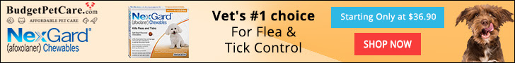 Buy Nexgard Flea Tick Chewable for Dogs Online at 5% Extra Discount & Free Shipping