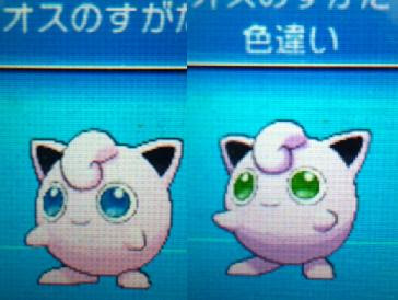 色違いに釘付け プリン Xy
