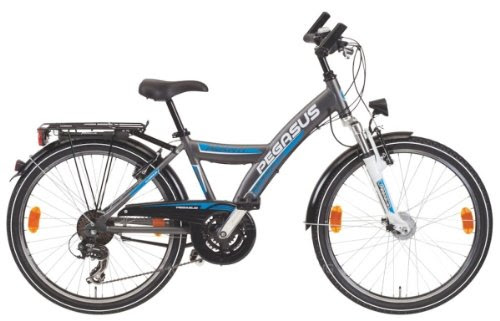 PEGASUS Avanti Jungenfahrrad 24 Zoll grau 36 cm Banana 21 Gang-Kettenschaltung 2013