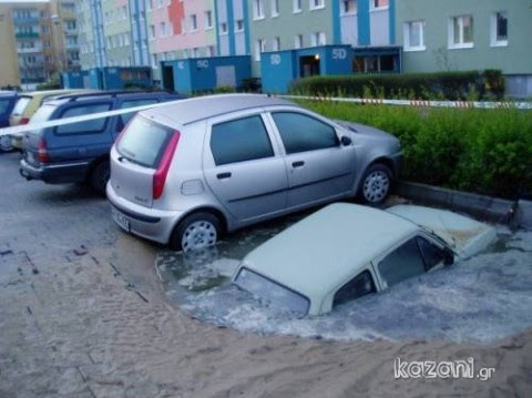 anfíbio urbano