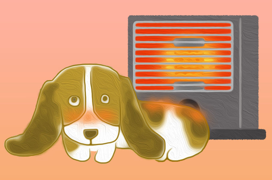 冬はキケン 犬がやけどをした時の対処法を知りたい 犬の総合情報サイト ペットスマイルニュースforワンちゃん