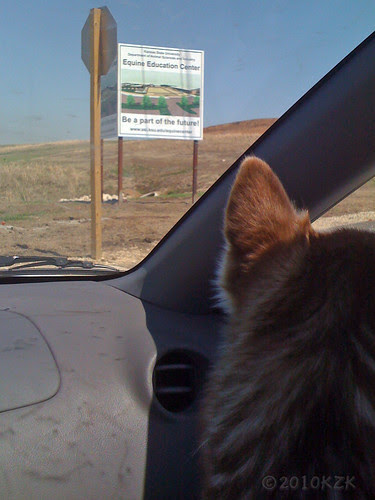 IMG_6131 Equine Education Center