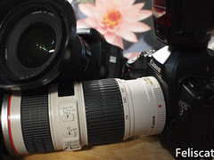 Canon EOS 3