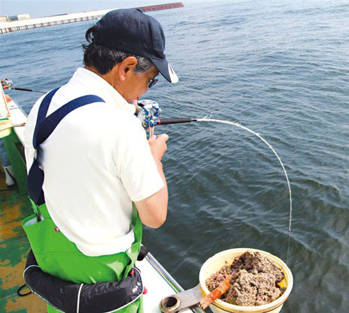 朝日新聞デジタル 激ウマのトロが入れ食い トラベル