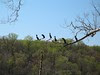 IMG_0163_1.JPG