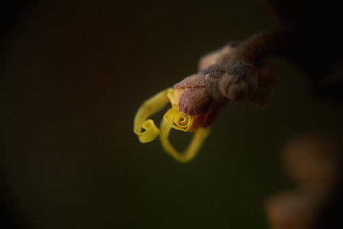 SDIM9361