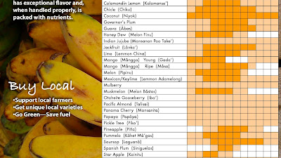 Cool Fruits Lesson Plan Ideas