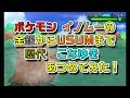 画像をダウンロード こな��き ポケモン 288487-ポケモ��go トドゼルガ こなゆき