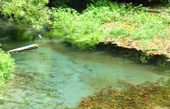 地蔵滝の泉 名水