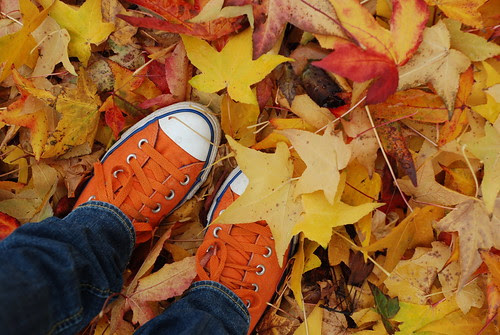autumn