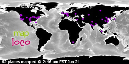 Visitor Map