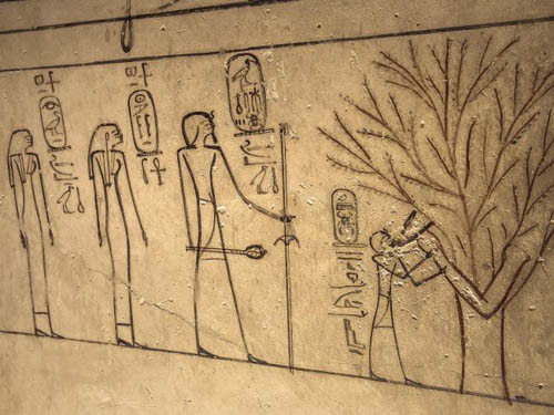 nhung-buc-anh-hiem-hoi-ben-trong-lang-mo-pharaoh-o-ai-cap-7