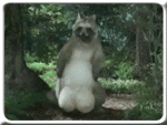 Animated Pictures Myspace Comments