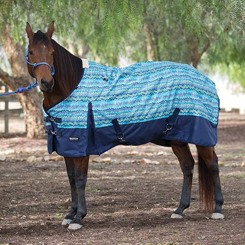 Equisential 600D Winter Turnout Blanket