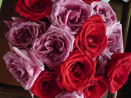 roses
