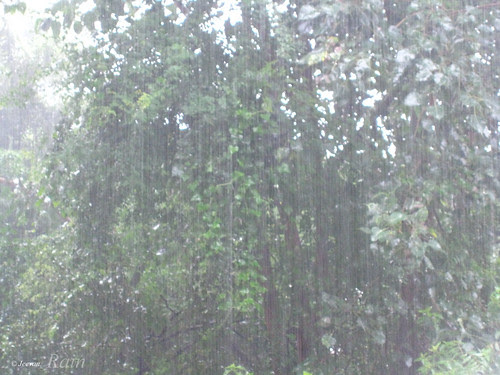 Monsoon Rain
