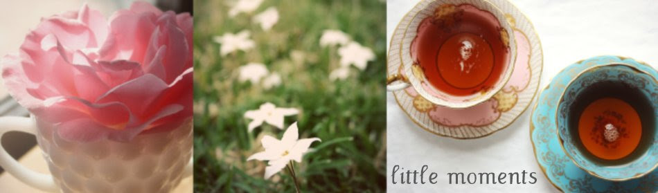 Little Moments