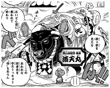 ワンピースで光月家家臣の赤鞘九人男のメンバーは 能力や強さを紹介 Legend Anime