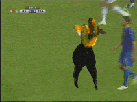 funny animated gif
