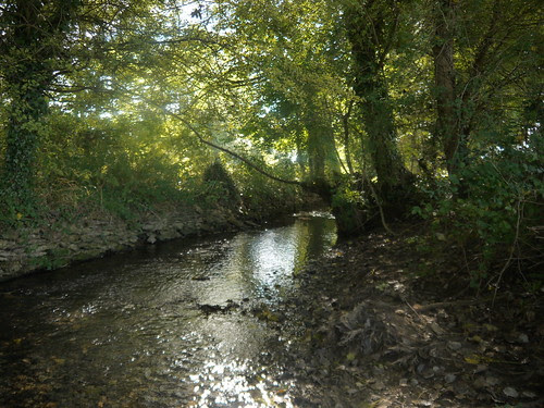 The Brook
