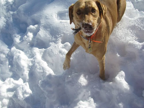 "Come and get my stick!"