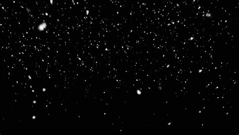 loopable snowfall alpha stock stock footage video
