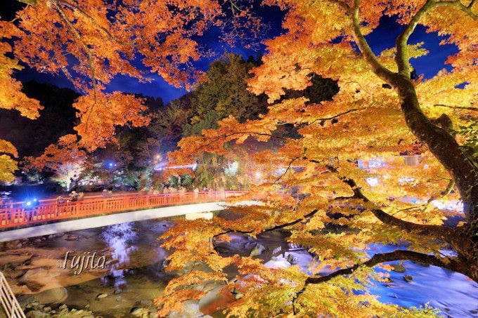 香嵐渓の紅葉はライトアップも必見 愛知 東海屈指の紅葉狩り名所 愛知県 Lineトラベルjp 旅行ガイド