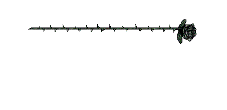 myspace layouts, myspace codes, glitter graphics